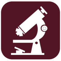 Física y Química
